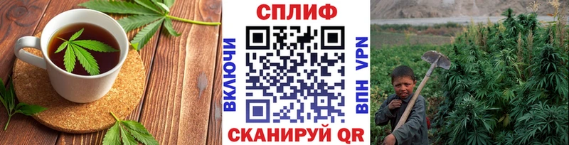 Cannafood марихуана  Шилка 