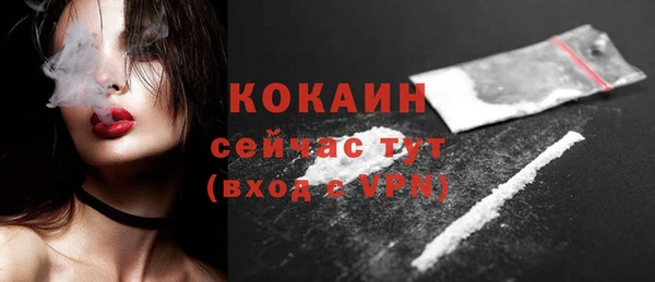 индика Абинск