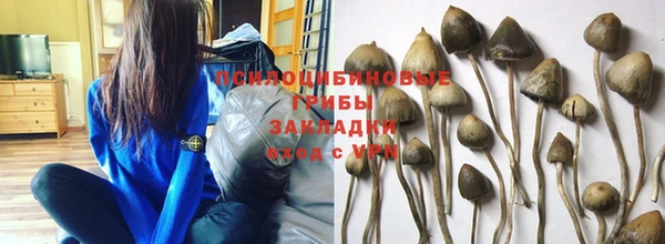 индика Абинск